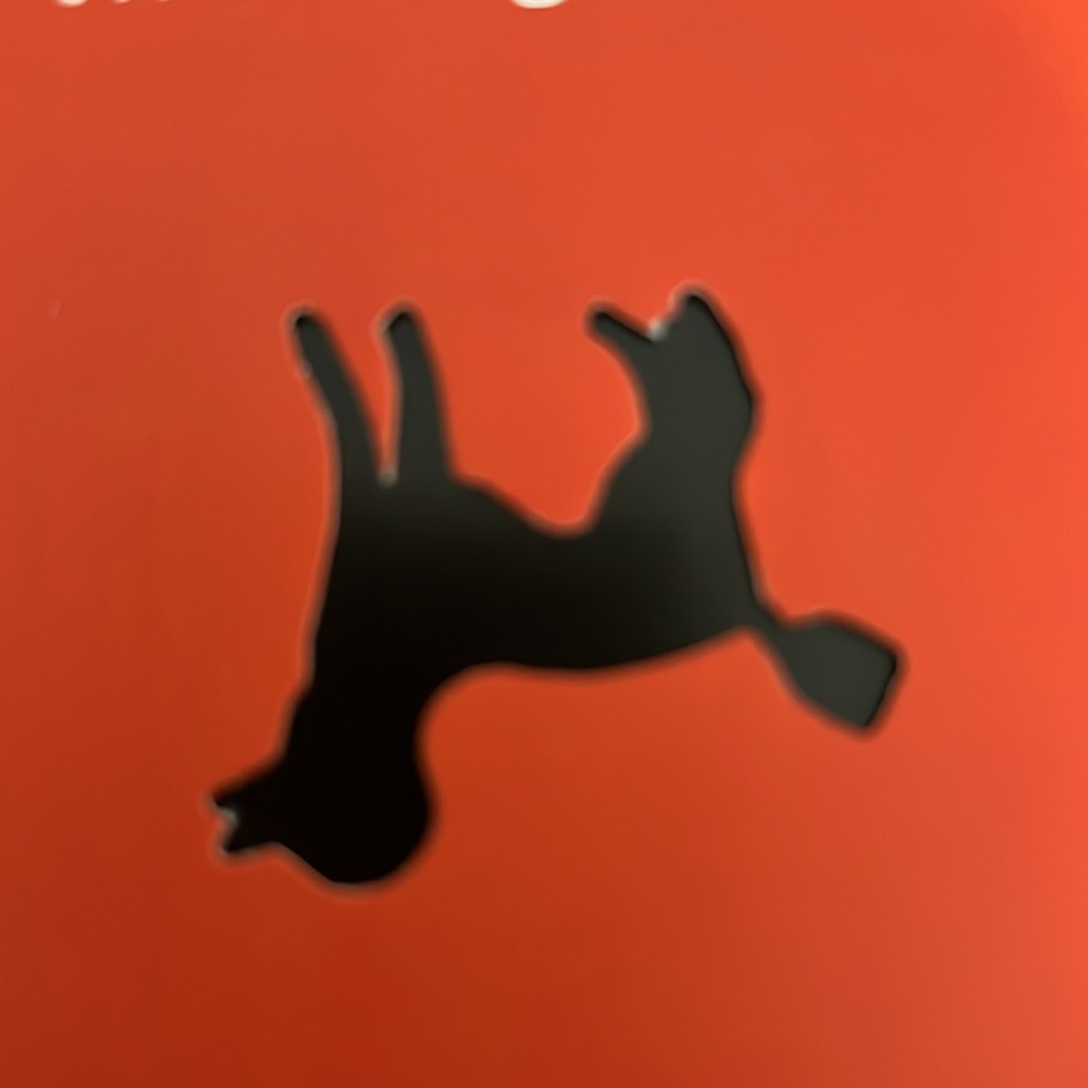 The Curious Incident of the Dog in the Night-time Book - Picture 4 of 5